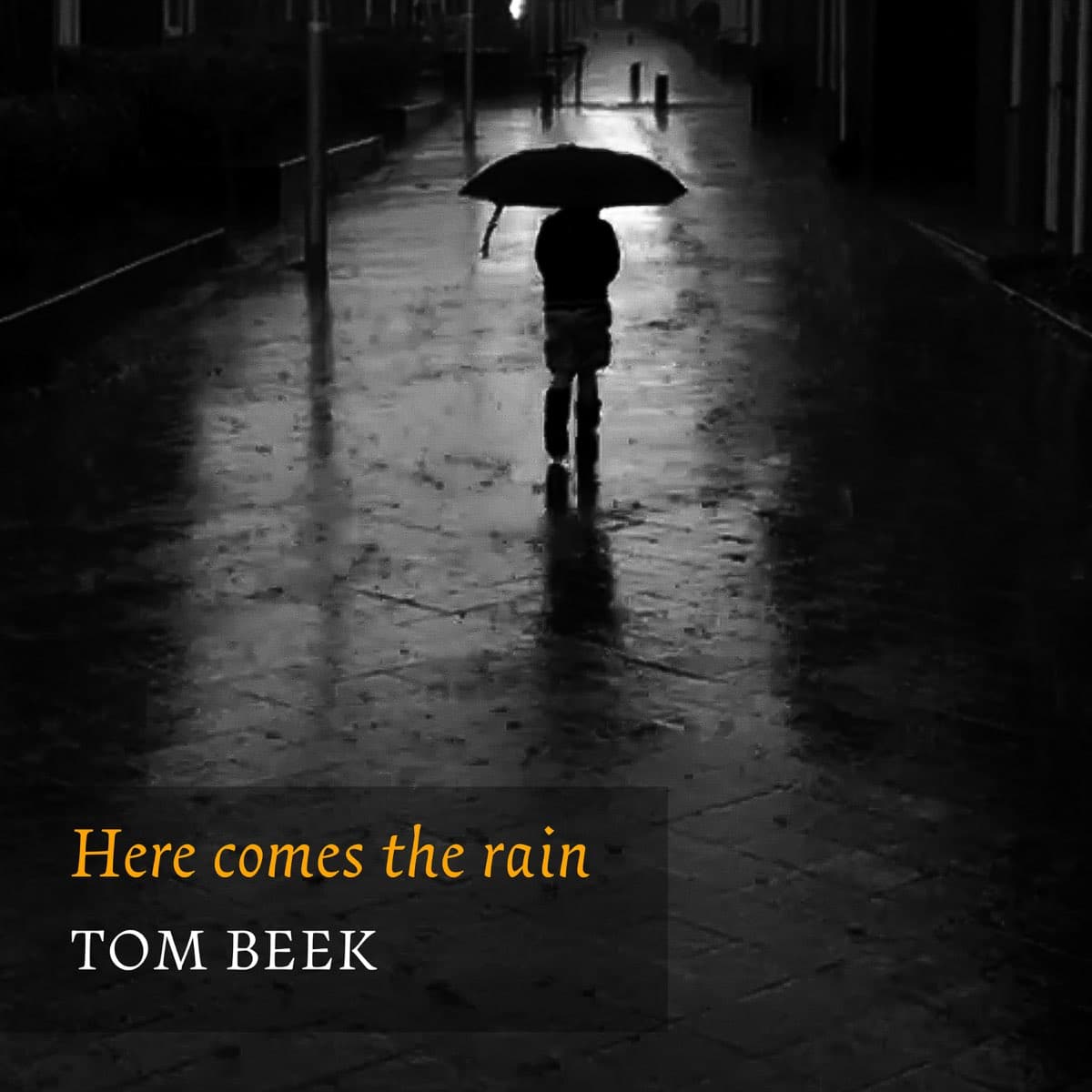 Tom Beek Here comes the rain