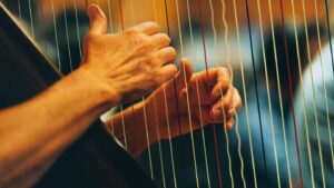 harp Metropole Orkest muziek muziekinstrument