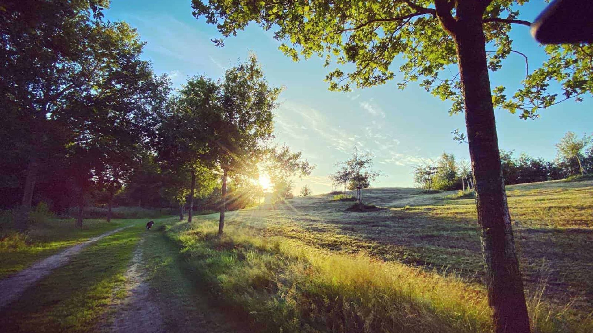 Oranjewoud Friesland