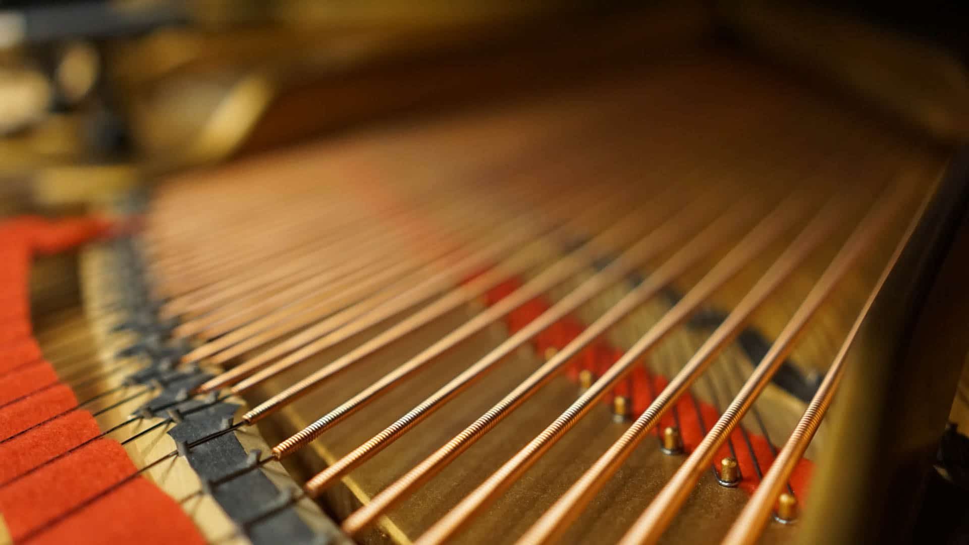 piano vleugel snaren